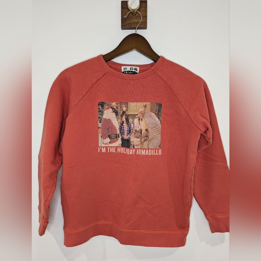 Cotton On FRIENDS Holiday Armadillo Sweatshirt